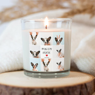 Adesivo Quadrado Meu Cachorro É Meu Namorados Duas Fotografias De