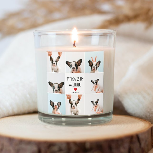 Adesivo Quadrado Meu Cachorro É Meu Namorados | Duas Fotografias De (Criador carregado)