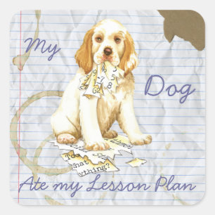 Adesivo Quadrado Meu Clumber Spaniel Comeu Meu Plano De Lição