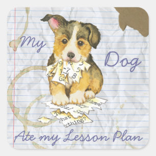 Adesivo Quadrado Meu Corgi de Galês do Pembroke comeu meu plano de