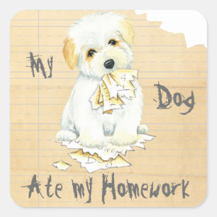 Adesivo Quadrado Meu Coton Comeu Minha Homework