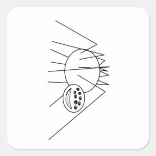Adesivo Quadrado Meu Desenho da Linha da Aranha