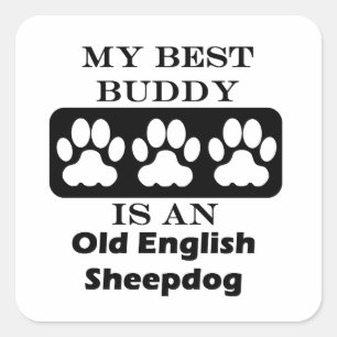 Adesivo Quadrado Meu melhor amigo é um Sheepdog inglês velho