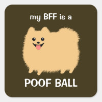 Meu melhor amigo é uma bola de merda - Fluffy Pome