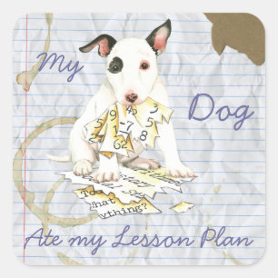 Adesivo Quadrado Meu Miniatura, Bull Terrier, Ate meu plano de liçã