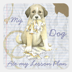 Adesivo Quadrado Meu Plano Anatólogo Ate My Lessation