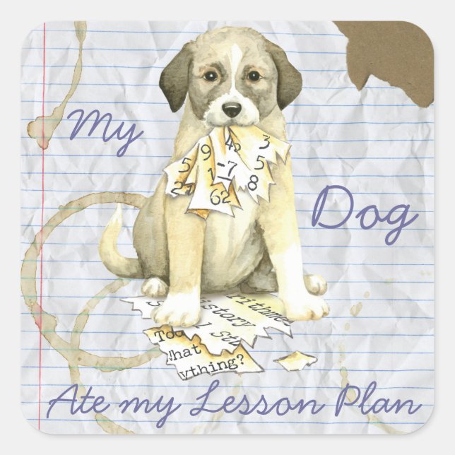 Adesivo Quadrado Meu Plano Anatólogo Ate My Lessation (Frente)