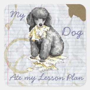 Adesivo Quadrado Meu Poodle Miniatura Comeu Meu Plano de Lição