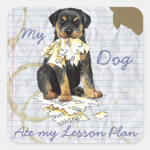 Adesivo Quadrado Meu Rottweiler comeu meu plano de aula