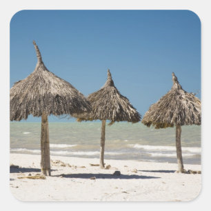 Adesivo Quadrado México, Península de Yucatán, Progreso. Palha