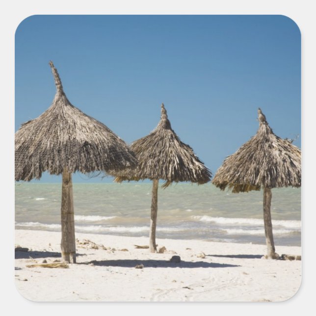 Adesivo Quadrado México, Península de Yucatán, Progreso. Palha (Frente)