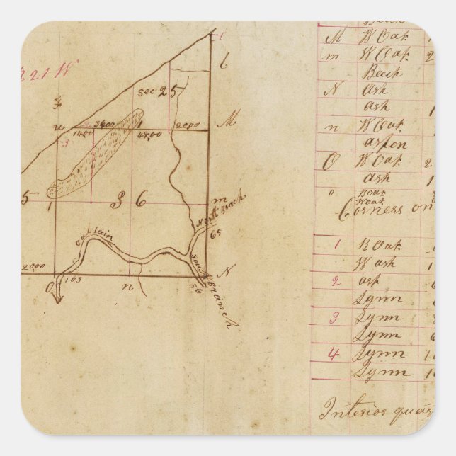 Adesivo Quadrado Michigan e Indiana Survey (Frente)