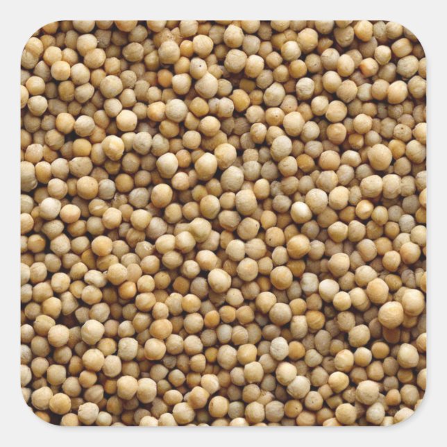 Adesivo Quadrado Milho (Frente)