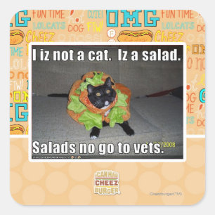Adesivo Quadrado Mim iz não um gato. Iz um salad.