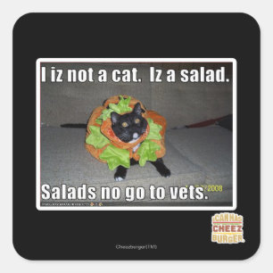Adesivo Quadrado Mim iz não um gato. Iz um salad.