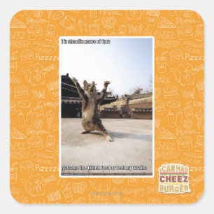 Adesivo Quadrado Mim patas do shaolin do iz da fúria