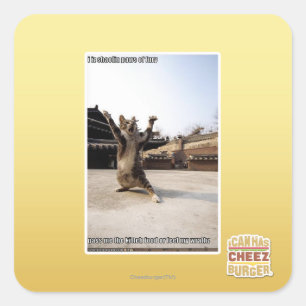 Adesivo Quadrado Mim patas do shaolin do iz da fúria