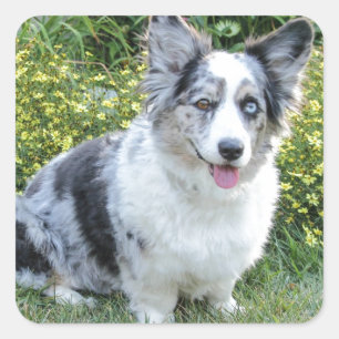 Adesivo Quadrado Mina de Maggie