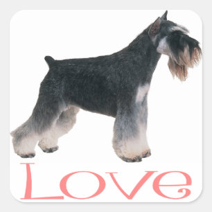 Adesivo Quadrado Miniatura Schnauzer Cão Cachorro Pink Pink Love S