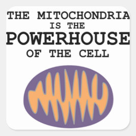 Adesivo Quadrado Mitocôndria é o Powerhouse - Sticker
