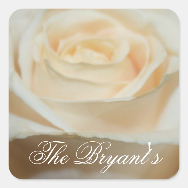 Adesivo Quadrado Modelo da Creamy White Rose Stickers (Frente)
