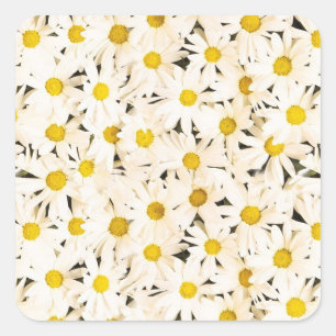 Adesivo Quadrado Modelo de Elegante de Tendência de Vazio de  de T