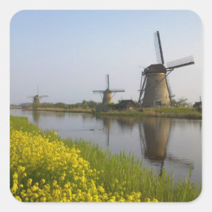 Adesivo Quadrado Moinhos de vento ao longo do canal em Kinderdijk,