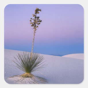 ADESIVO QUADRADO MONUMENTO NACIONAL WHITE SANDS, NOVO MÉXICO.