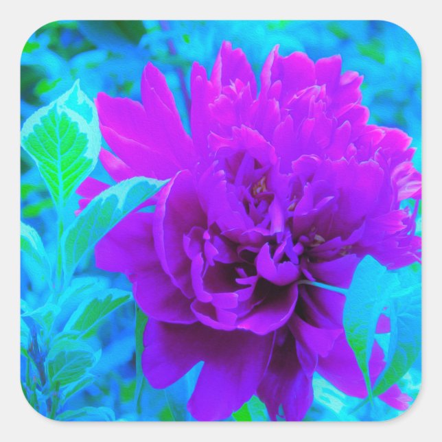 Adesivo Quadrado Moody Purple Peony com Linda Folhagem Weigela (Frente)