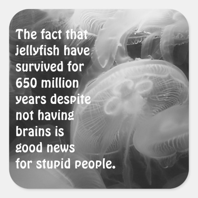 Adesivo Quadrado Moon Jellyfish Sticker (Frente)