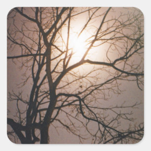 Adesivo Quadrado Moonlight Dream