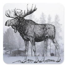 Moose de inverno