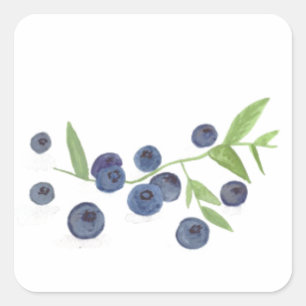 Adesivo Quadrado Morangos azuis decoração de cozinha aquarela 