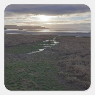 Adesivo Quadrado Morning Morecambe Bay cedo