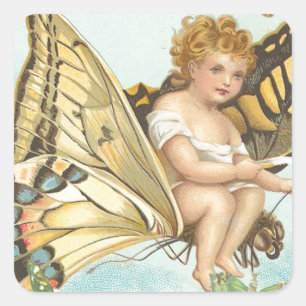 Adesivo Quadrado Mosca