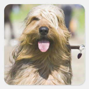 Adesivo Quadrado mostrando a língua, cabelo longo, retrato