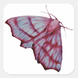 Adesivo Quadrado Mot, moth