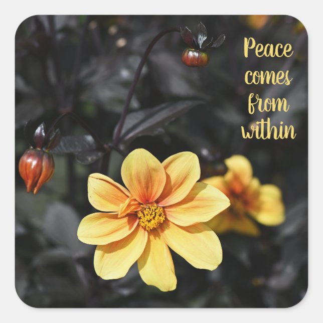 Adesivo Quadrado Motivação das Flores Amarelas Dahlia Wisley Garden (Frente)