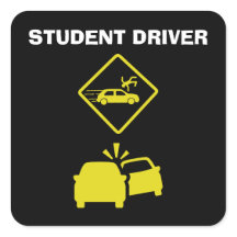 MOTORISTA DE ESTUDANTES - AMARELO DE CRASH