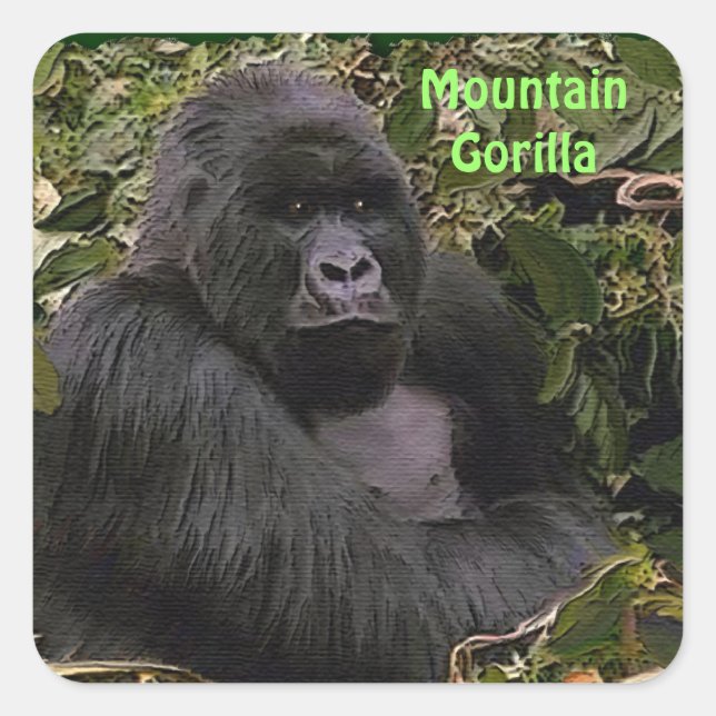 Adesivo Quadrado Mountain Gorilla African Willife Sticker (Frente)