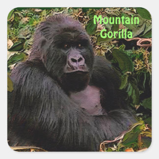 Adesivo Quadrado Mountain Gorilla African Willife Sticker