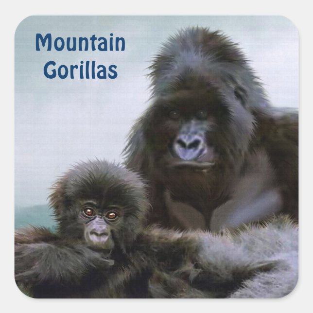 Adesivo Quadrado Mountain Gorillas African Willife Sticker (Frente)