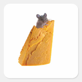 ADESIVO QUADRADO MOUSE E QUEIJO EM VESTIDO