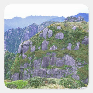 Adesivo Quadrado Mt. Nagata, Yakushima, Kagoshima, Japão