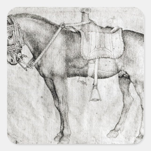 Adesivo Quadrado Mule, do Álbum Vallardi (Frente)