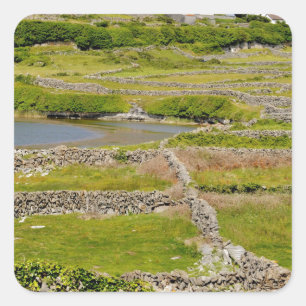 Adesivo Quadrado Muros de Pedra da Irlanda