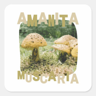 Adesivo Quadrado Mushroom lover, amanita muscaria, nature