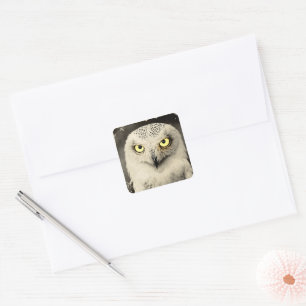 Adesivo Quadrado Mysterious Owl Newspaper Impressão - Vintage Folkl