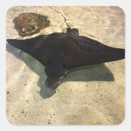 Adesivo Quadrado Mystical Stingray