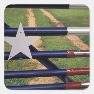 Adesivo Quadrado N.A., EUA, Texas, Lago Buchanan, bandeira do Texas